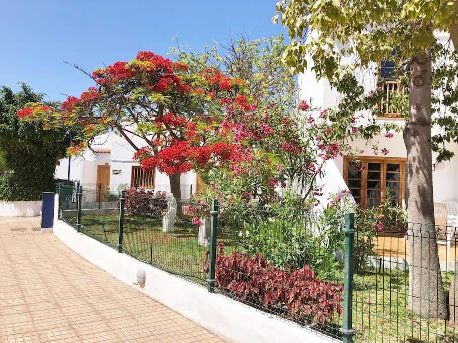 Apartamento Lucia Garden City Con Piscina Climatizada Playa Feñabe Extérieur photo