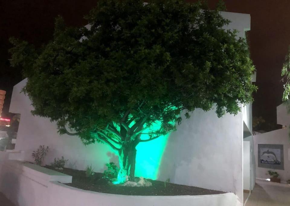 Apartamento Lucia Garden City Con Piscina Climatizada Playa Feñabe Extérieur photo