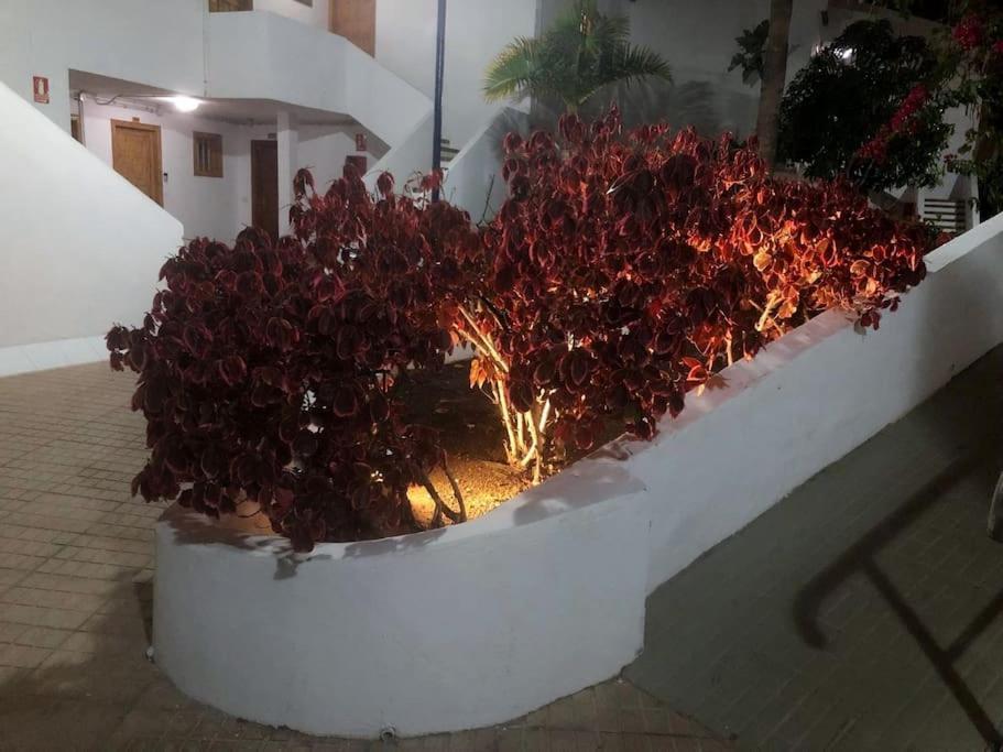 Apartamento Lucia Garden City Con Piscina Climatizada Playa Feñabe Extérieur photo