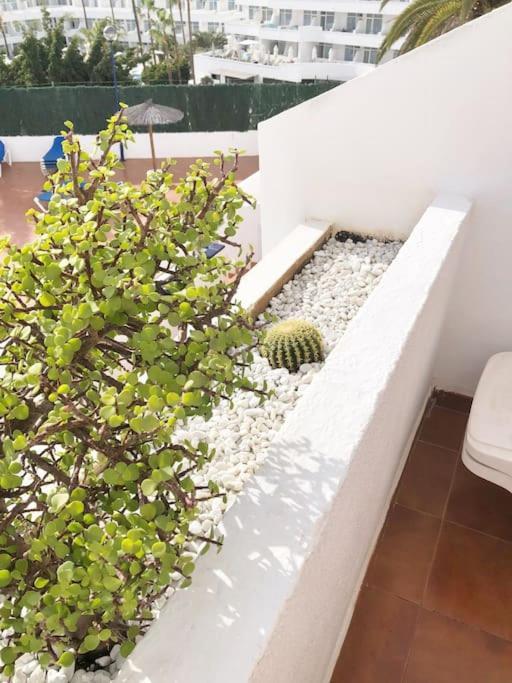 Apartamento Lucia Garden City Con Piscina Climatizada Playa Feñabe Extérieur photo