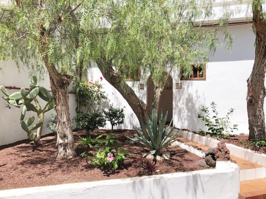 Apartamento Lucia Garden City Con Piscina Climatizada Playa Feñabe Extérieur photo