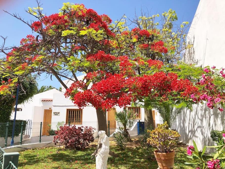 Apartamento Lucia Garden City Con Piscina Climatizada Playa Feñabe Extérieur photo