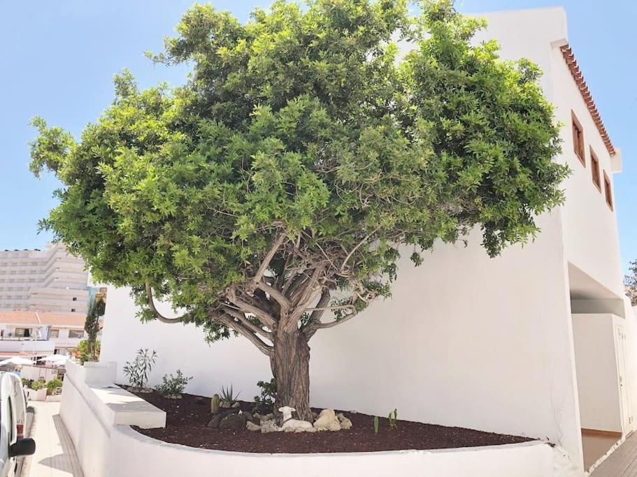 Apartamento Lucia Garden City Con Piscina Climatizada Playa Feñabe Extérieur photo